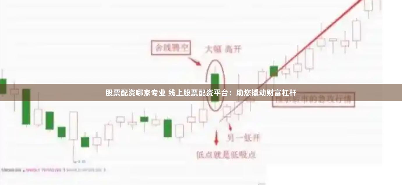 股票配资哪家专业 线上股票配资平台：助您撬动财富杠杆