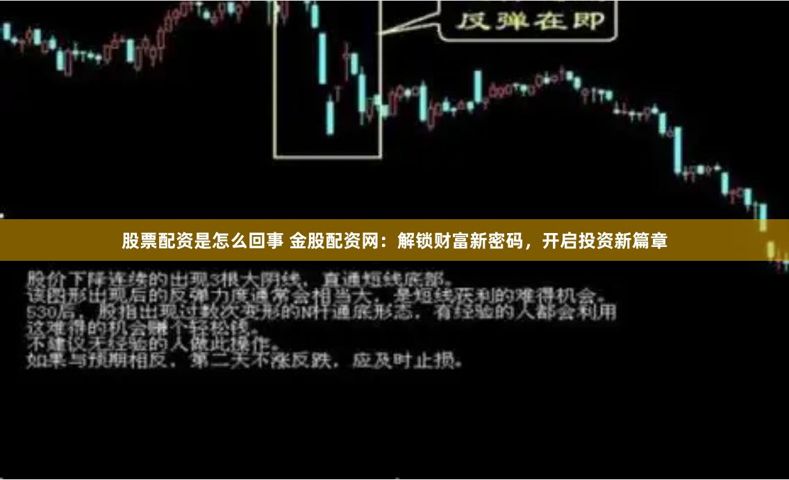 股票配资是怎么回事 金股配资网：解锁财富新密码，开启投资新篇章