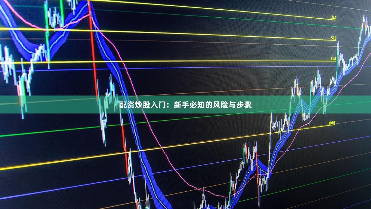 配资炒股入门：新手必知的风险与步骤